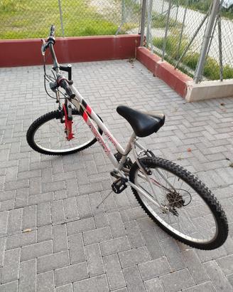 Bicicletta Run&Bike