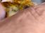 Immagine 3