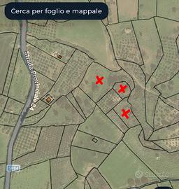 Terreno vicari