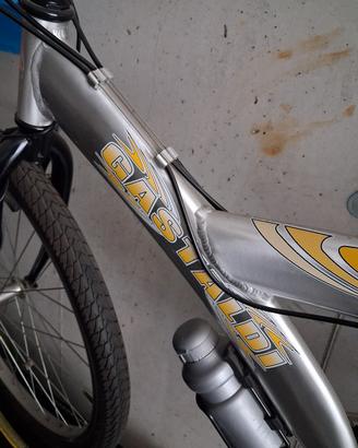 bicicletta 