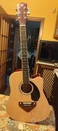 acustica Sakura