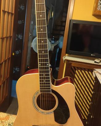 acustica Sakura
