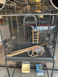 Gabbia uccelli Montana Cages Madeira I Antracite
