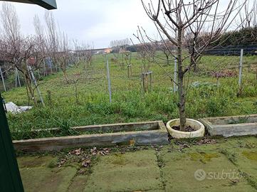APPEZZAMENTO DI TERRENO AGRICOLO DI 1000 mq