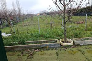 APPEZZAMENTO DI TERRENO AGRICOLO DI 1000 mq