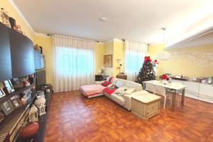 5 LOCALI A SERRA RICCÒ