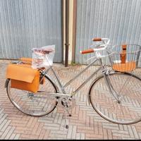 bicicletta Cigno