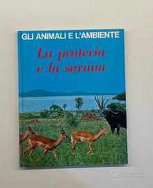 Gli animali e l'ambiente, La prateria e la savana