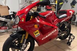 Cagiva Mito Eddy Lawson 2