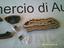 Immagine 3