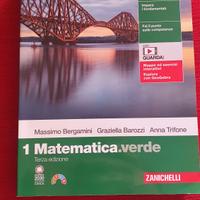 Libro scolastico "Matematica.verde

1" (Zanichelli