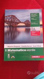 Libro scolastico "Matematica.verde

1" (Zanichelli
