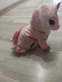 vestiti Chihuahua 