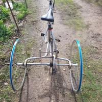 Bicicletta 3 ruote