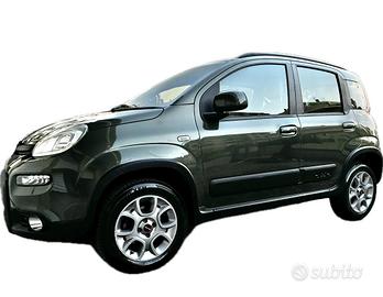 Panda 4x4