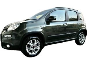 Panda 4x4