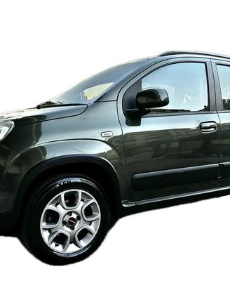 Panda 4x4
