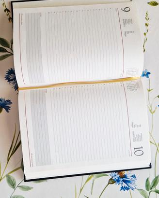 Agenda vintage 1995 intonsa