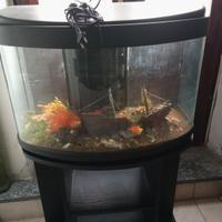 acquario completo Con Mobiletto 