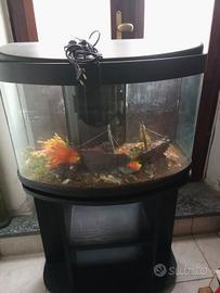 acquario completo Con Mobiletto 