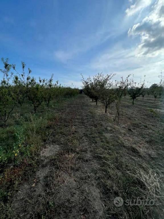 Immobile in asta di 19223 m² a Villaricca - Vista 3