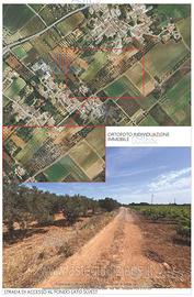 Terreno Agricolo Marsala [A4344214]