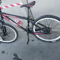 bicicletta mountain bike dmcube