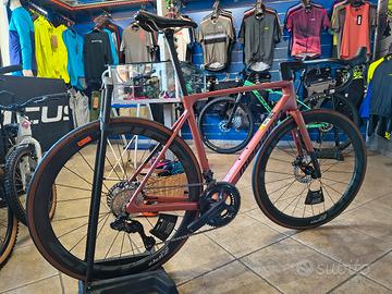 Megamo Raise 05 -2026 TG. L
