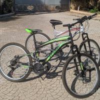 Bici Xt-erre