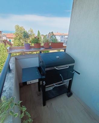 BBQ Naterial Centaurus Beta II