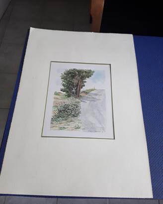 Acquarello su cartoncino Gaetano Pancaldi 
