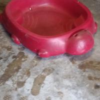 piscina,piscinetta, sabbiera con coperchio 