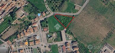 TER. RESIDENZIALE A CALVI RISORTA