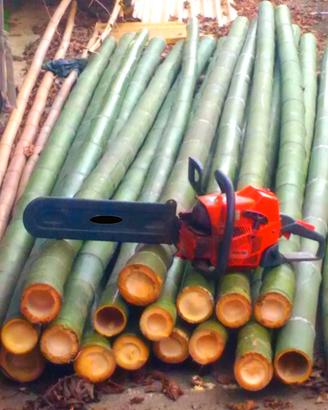 Canne di bambù- bambu diametri 1 a 10 cm