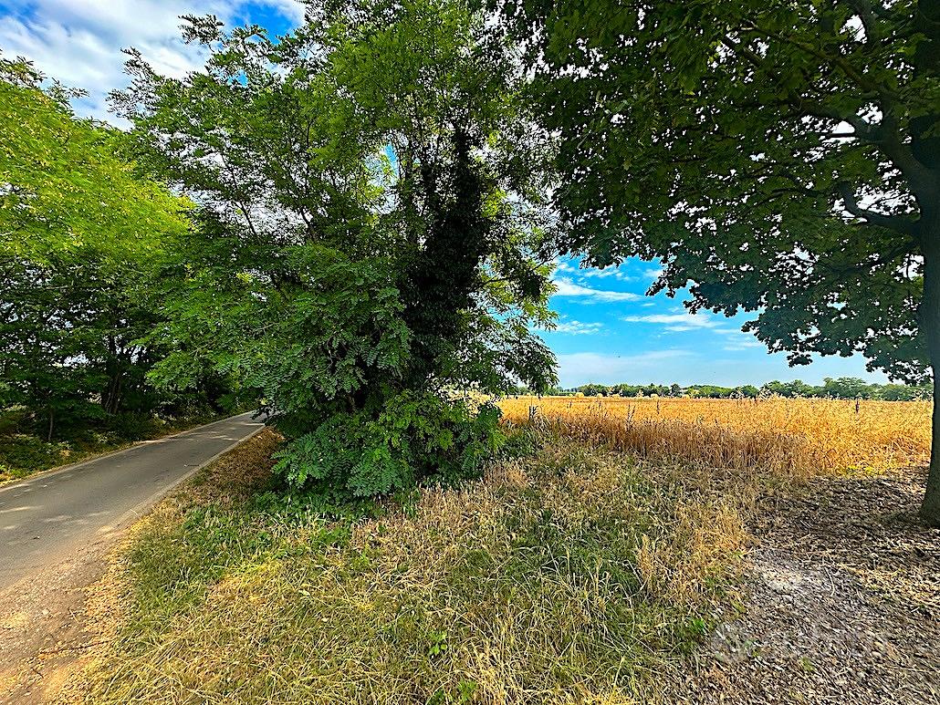 Terreno agricolo con canaletta - Vista 3