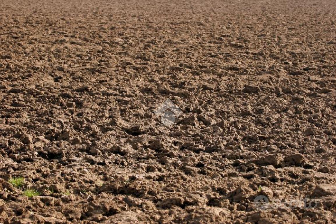 TERRENO A COLOGNO AL SERIO - Vista 2