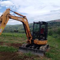 Escavatore CASE CX45B