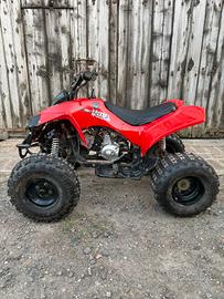 Mini quad 125