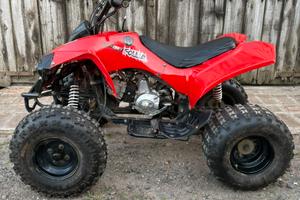 Mini quad 125