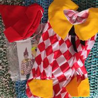 Vestito da carnevale Pinocchio