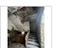 Immagine 17