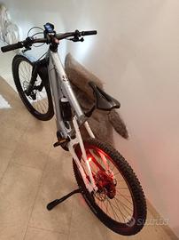 bici elettrica 