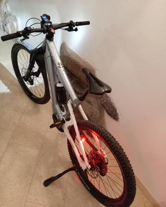 bici elettrica 