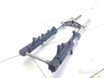 SUZUKI DL V-STROM 650 FORCELLA - PUNTI DI RUGGINE 