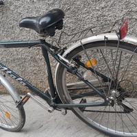 bici uomo 