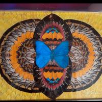 Quandro ali di farfalle