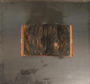 AUBERTIN BERNARD "Livre brulè"