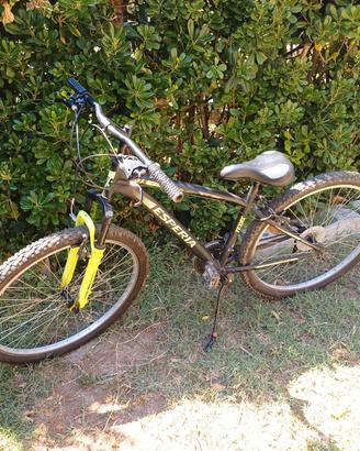 mountain bike ragazzo