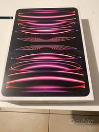 IPad Pro 11 pollici 256Gb wi-fi cellular