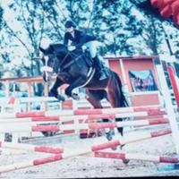 Cavallo da salto